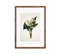 Antique Botanical Art Print - Wall Décor Poster Lily Of The Valley Illustration (Rustic Large + Mount)