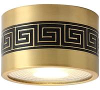 Antique Brass Downlight 5W-18W 6000k-3000k Dimmable COB Eyeball Spotlights CRI 90+Interior Ceiling Decor Can LightsWafer Disk LightEasy Installation,12w