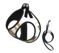 Antique Building With Roman Olive Branch And Greek Adjustable Reflective Harness Leash Set For Cats And Dogs, Soft Breathable Mesh Vest With Escape-Proof Design For Small Pets