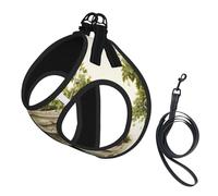 Antique Building With Roman Olive Branch And Greek Print Dog Harness Reflective Pet Vest Harness Puppy Harnesses Leash Set,For Walking Training