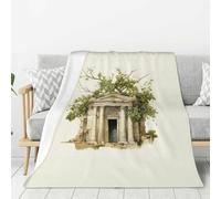 Antique Building with Roman Olive Branch and Greek Print Lightweight Warm Blanket Soft Thick Blankets Bedroom Camping Living Room Traveling