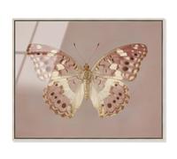Antique Flutter I Framed Acrylic Print Pink Wall Decor by Art Remedy, Silver Frame, 30 x 24