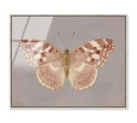 Antique Flutter II Framed Acrylic Print Pink Wall Decor by Art Remedy, Silver Frame, 30 x 24