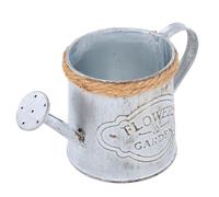 Antique Iron Flower Bucket 2pcs Retro Decorative Planter
