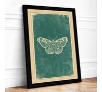 Antique Moth Study Vintage Framed Wall Art Print A1 (84.1×59.4cm) Black, Wall Decor for Living Room, Bedroom, Office & Home, Ready to Hang, Art Gift