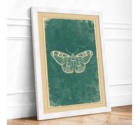 Antique Moth Study Vintage Framed Wall Art Print A3 (42×29.7cm) White, Wall Decor for Living Room, Bedroom, Office & Home, Ready to Hang, Art Gift
