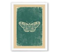 Antique Moth Study Vintage Framed Wall Art Print A4 (29.7×21cm) White, Wall Decor for Living Room, Bedroom, Office & Home, Ready to Hang, Art Gift