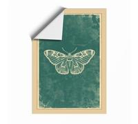 Antique Moth Study Vintage Unframed Wall Art Print A2 (59.4×42cm), Wall Decor for Living Room, Bedroom, Office & Home, Art Gift