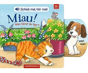 Antje Flad Schieb mal, hör mal: Miau Wen hörst du hier? (Paperback)
