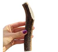 Antler Chew - Large Antler Dog Chew (130-180g, From 13cm) | Naturally Shed & Sanded | Long-Lasting, Odourless Chew for Moderate Chewers | Supports Dental Health