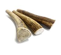 Antler Dog Chews Mini x 3 (Weight -Mini 30-49g), (Size May Vary) Premium Quality Natural Dog Chew Treat Hypo-Allergenic Dog Chew Extra Small SHC