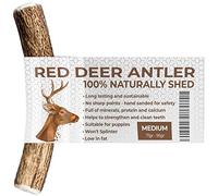Antlers for Dogs MEDIUM, Sustainable, Naturally Shed, Deer Antlers for Dogs, Reindeer Antlers