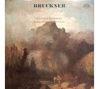 Anton Bruckner - String Quintet [Vinyl LP]