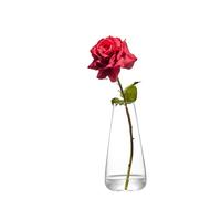 Anton Studio Designs York Handcrafted Traditional Decorative Glass Flower Vase, 24.5 cm, Clear, Housewarming or Wedding Gift
