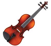 Antoni Debut Violin Outfit ~ 1/4 Size