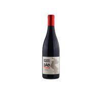 António Madeira Tinto 2022