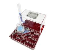 Ants Farm Acrylic Ant Nest Farm Double Water Tower With Feeding Area Ant Farm For Ant Lovers Ant House(Rosso)