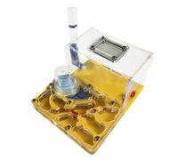 Ants Farm Ant Castle Acrylic Flat Surface Ant Farm With Hydrating Pool Activity Area Ant Farm Ant House(Yellow)