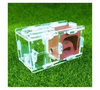 Ants Farm Ant Nest Farm Science Experiment Formicarium Insect Nest For Science Education Tools Ant House(Rosso)