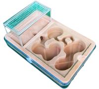 Ants for Ant Farm Creative Ant Farm Diy PP Ant Castle Plaster Research Ant Behavior System Ant Nest Farm Ant Terrarium