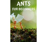 Ants for beginners: Guide to successfully keep ants in an ant farm for novices