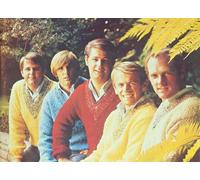 Antwerp Philharmonic Orchestra - The Seven Symphonies: A Classical Tribute to Beach Boys Music