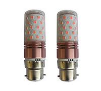 ANTYX 10W B22 Bayonet LED Bulb 12v 24v Low Voltage Corn Bulb Light 2835 SMD 60 LED AC/DC 12-40v for RV Camper Marine, Solar Energy Light And Grid 2-Pack (Color : Red)