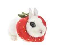 ANUBE Rabbit Protection Cone for After Surgery, Elizabeth Neck Recovery Collar for Small Animals,Bunny Toast Avocado Costume (S,Strawberry)