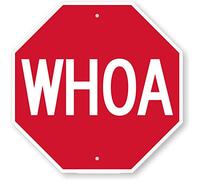 Anwei"Whoa Funny Stop Sign by Sign | tin 8x12