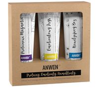 Anwen Set of 3 conditioners for medium porosity, 100 ml
