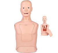 ANXYYDS Endotracheal Intubation Gastric Tube Model Half Body Mannequin for Nursing Practice Simulator Manikin Gastric Tube Nasogastric Feeding Training Model Gastric Lavage Tracheostomy Model