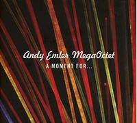 Any Emler MegaOctet - A Moment For...