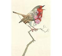 Any occasion card - Blank inside - Daniel Mackie Designer card - Robin