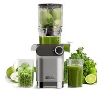 Anybear Cold Press Juicer, 200W Masticating Slow Juicer 4.3" Large Feed Chute Fit Whole Fruits Vegetables | Upgraded Auger | Tritan Materials | BPA Free | Juice Recipes (Silver Gray)