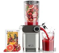 Anybear Cold Press Juicer, 200W Masticating Slow Juicer 4.3" Large Feed Chute Fit Whole Fruits Vegetables | Upgraded Auger | Tritan Materials | BPA Free | Juice Recipes (Silver)