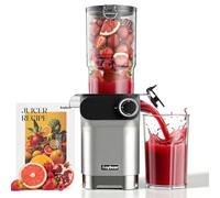 Anybear Cold Press Juicer, 200W Masticating Slow Juicer 4.3" Large Feed Chute Fit Whole Fruits Vegetables | Upgraded Auger | Tritan Materials | BPA Free | Juice Recipes (Silver)