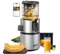 Anybear Cold Press Juicer, 350W Juicer Machine with 4.9" Large Feed Chute, Slow Masticating Juicer for Whole Fruits & Vegetables, High Juice Yield, BPA-Free Tritan, Juice Recipes (Silver)