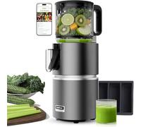 Anybear Cold Press Juicer with 4.9" Large Feed Chute, 350W Masticating Juicer Machines with Dual Slow-Squeezing Technology for Whole Fruits & Veggies with High Yield | BPA-Free Tritan (Grey)