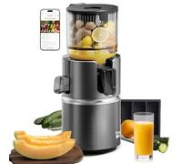 Anybear Cold Press Juicer with 4.9" Large Feed Chute, 350W Masticating Juicer Machines with Dual Slow-Squeezing Technology for Whole Fruits & Veggies with High Yield | BPA-Free Tritan (Grey)