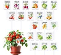 AnyDesign 20Pcs Acrylic Vegetable Plant Label Signs Garden Markers 20 Styles Vintage Vegetable Fruit Waterproof Potted Plant Stake Tags with Names for Nursery Indoor Outdoor Garden Decor