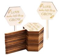 AnyDesign 30Pcs Love Makes Little Things Grow Plant Labels Wooden Plant Stakes Succulent Garden Marker Plant Sign for Seed Potted Teacher Appreciation Gift Wedding Baby Shower Thanksgiving Supplies