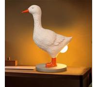 Anywin Duck Egg Lamp,3D Duck Laying Eggs Lamp,Lifelike LED Egg Lamp,Funny Resin Duck Night Light with USB,Dimmable Warm Lighting,Easter Christmas Birthday Gift for Friends Home Decor