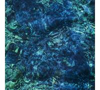 Ichiko Aoba - Luminescent Creatures