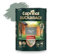AOC24 5L Ducksback Paint - Garden Wood Treatment for Sheds, Fences & Furniture - Quick Dry Exterior Paint - Weatherproof Protection - Non-Drip, Low VOC - 10m²/L Coverage (Delicate Pine, 5L)