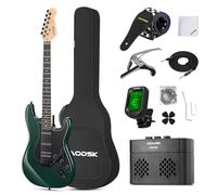 AODSK Electric Guitar (AGR-231GB)
