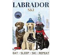 Aoevc Funny Labrador Ski Bathroom Quote Metal Tin Sign Retro Signage Pub Cafe Restaurants Man Cave Wall Decorate Metal tin Sign 6x8 Inch
