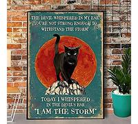 Aoevc tin Cute Sign Cat I Am The Storm Retro Metal Sign Bar Pub Bathroom Bedroom Wall Decoration Novelty tin Cute sign 6x8 inch