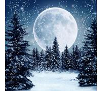 AOFOTO 10x10ft Winter Snow Night Forest Backdrop Fairytale Snowscape Pine Fir Trees Snowfall Photography Background Full Moon Snowing Christmas Xmas Party Decor Kid Family Photo Studio Props Vinyl