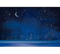 AOFOTO 10x6.5ft Christmas Star Night Backdrop Blue Starry Sky Wonderland Moon Night Photography Background Winter Forest Pine Trees Snow Snowflake Holy Christmas Nativity Scene Xmas Decor Photo Props