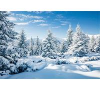 AOFOTO 10x7ft Snowy Scenery Backdrop Forest Snow Tree Photography Background Winter Snowfield Landscape Snow Covered Fir Pine Tree Outdoor Sky Christmas New Year Photo Studio Props Vinyl Wallpaper